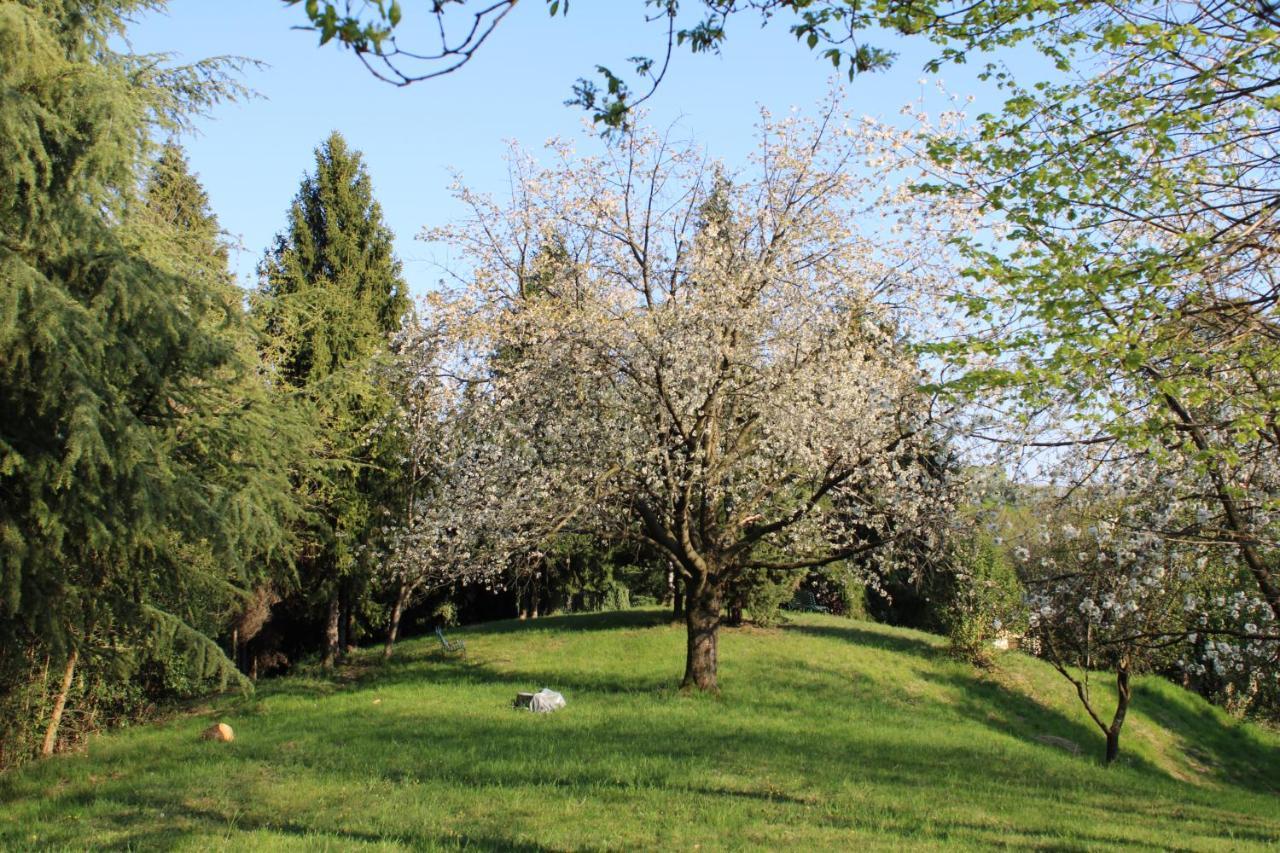Villa Flangini Asolo Buitenkant foto